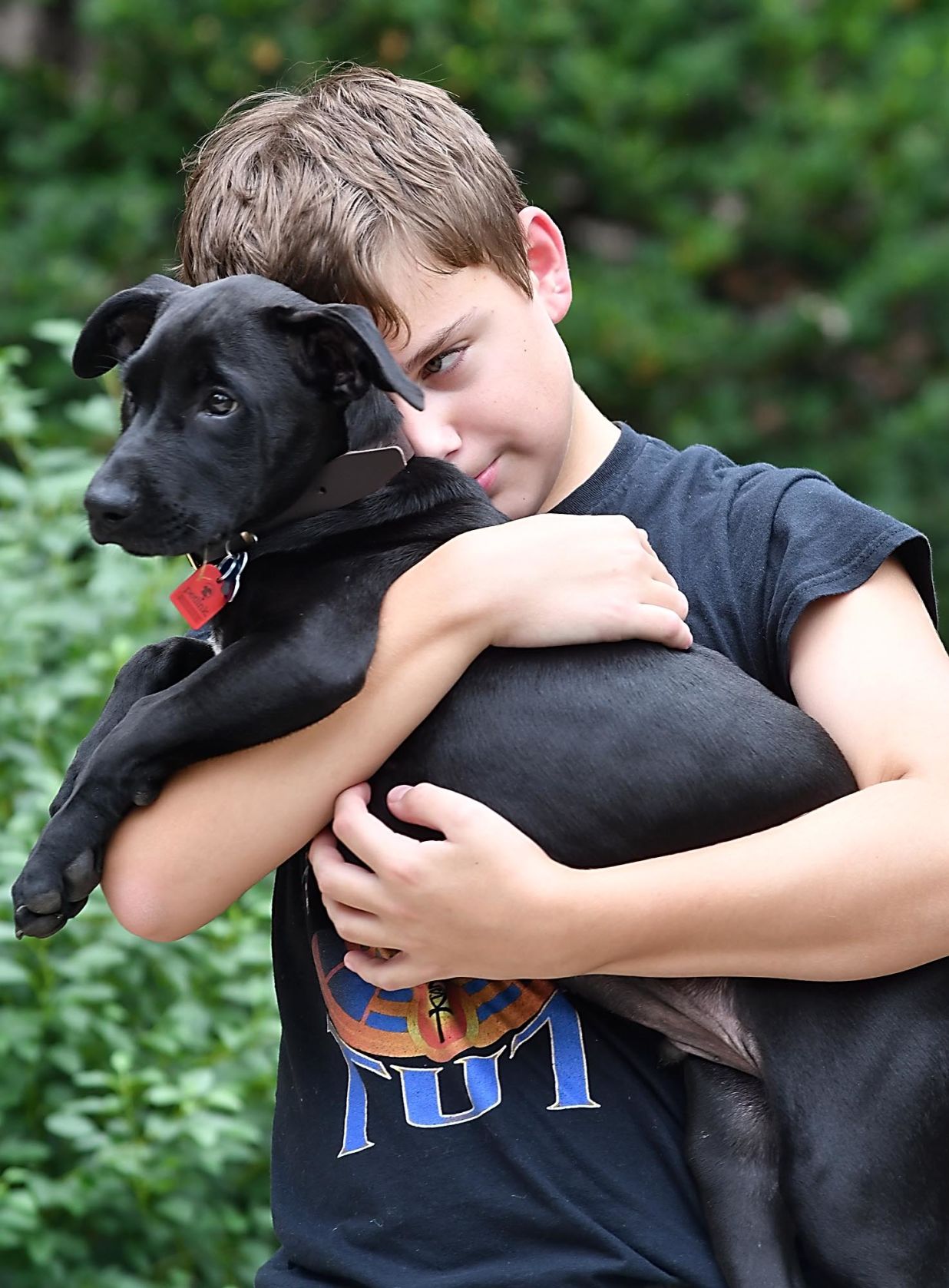 Governor's new dog 3